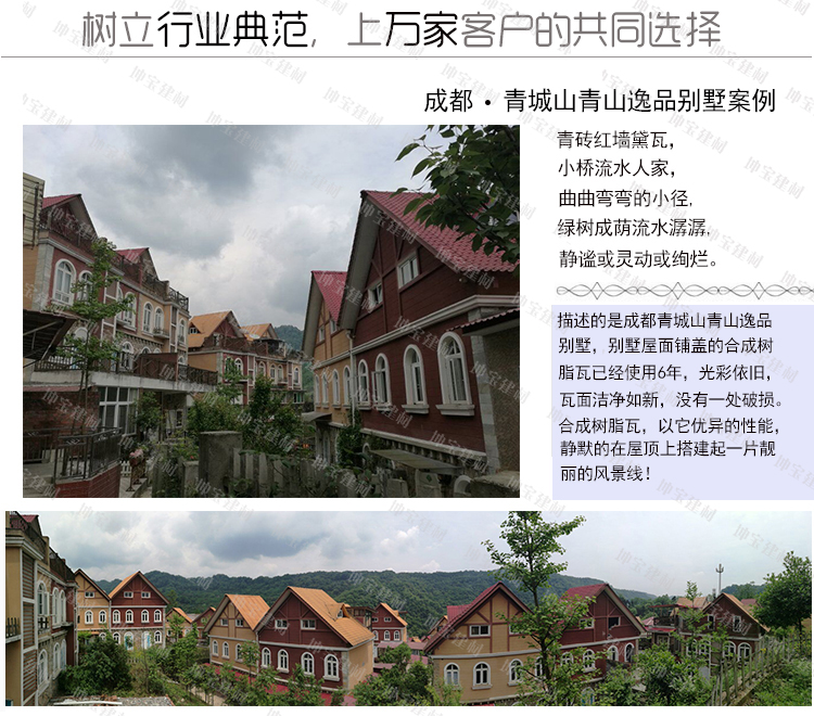 新型樹(shù)脂瓦案例圖1