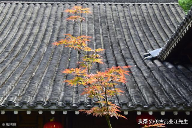 導(dǎo)讀：農(nóng)村蓋房用樹(shù)脂瓦適合嗎？聽(tīng)完行家的分析，恍然大悟