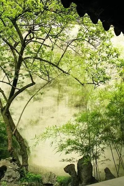 這樣的院子，只有中國(guó)人駕馭得了它！