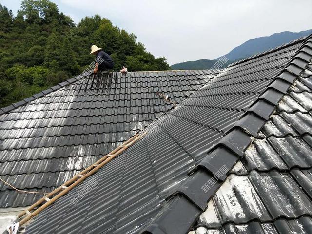 30元一平的樹(shù)脂瓦省錢(qián)又耐用？網(wǎng)友：吃飽沒(méi)事干，用一年就得換