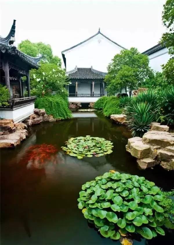 小院回廊，一步一景！